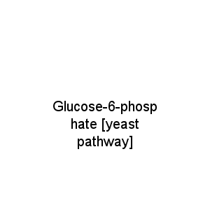 Glucose-6-phosphate [yeast pathway]